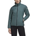 adidas Winter-Isolationsjacke Terrex (wasserabweisend) emerald Damen